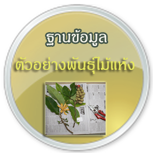 ฐานข้อมูลพันธุ์ไม้แห้ง