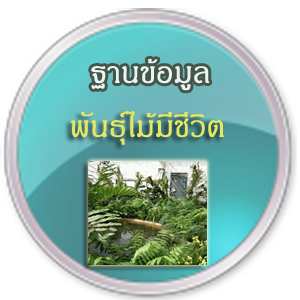 ฐานข้อมูลพันธุ์ไม้มีชีวิต