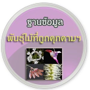 ฐานข้อมูลพันธุ์ไม้ที่ถูกคุกคามฯ