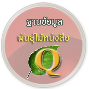 ฐานข้อมูลพันธุ์ไม้หนังสือ